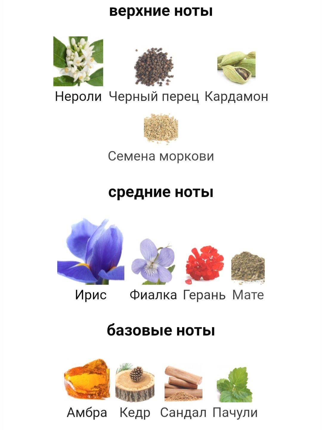 Парфюм Prada L'homme