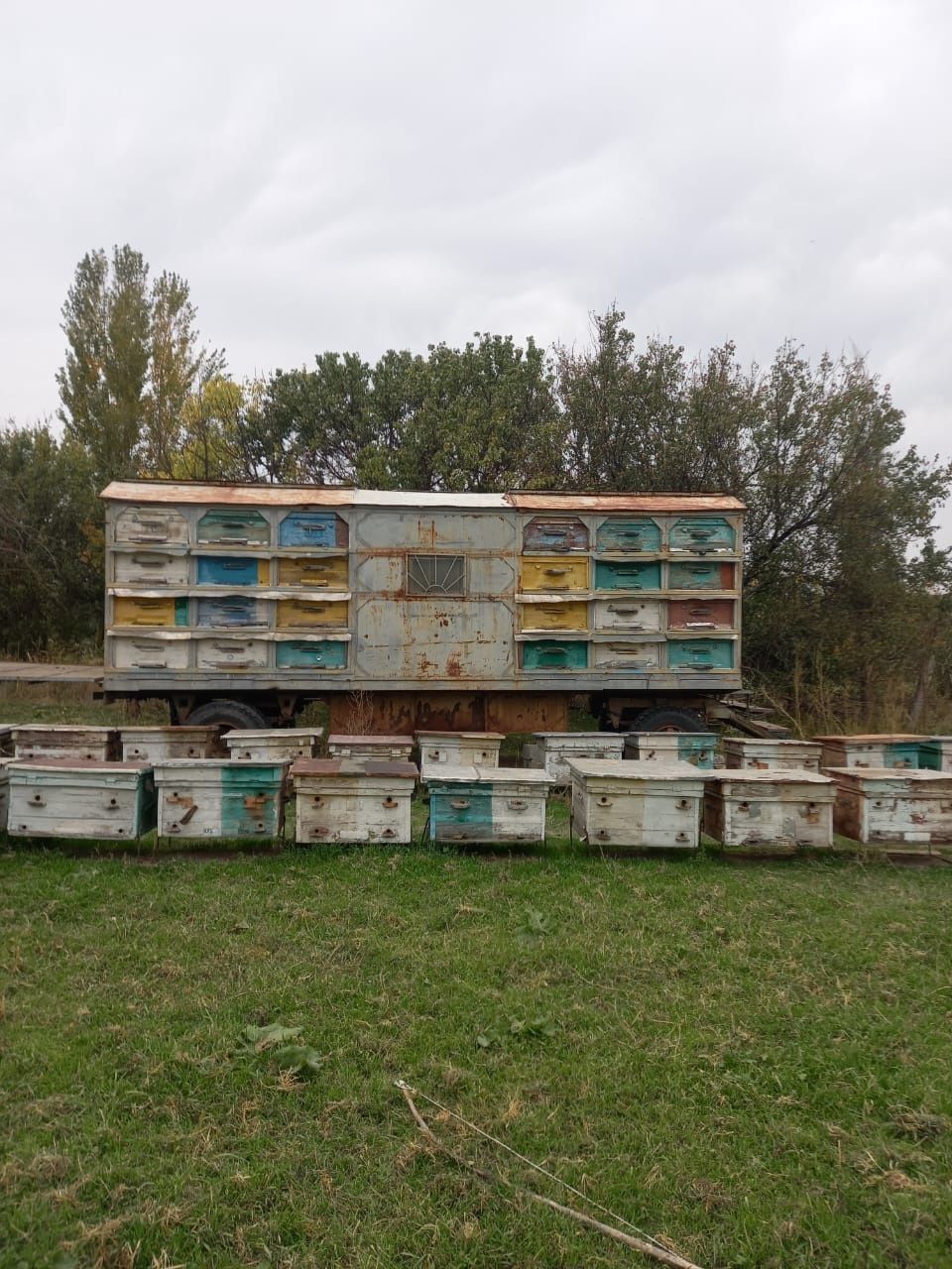 Продаётся натуральный мёд