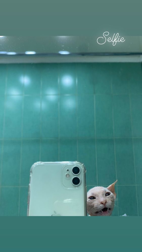 iPhone 11 white 128gb
