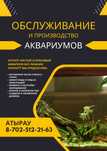 Обслуживание аквариумов