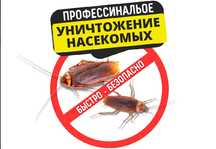 БЕЗ ЗАПАХА Дезинфекция блох Служба травли Фирмы по уничтожению клопов