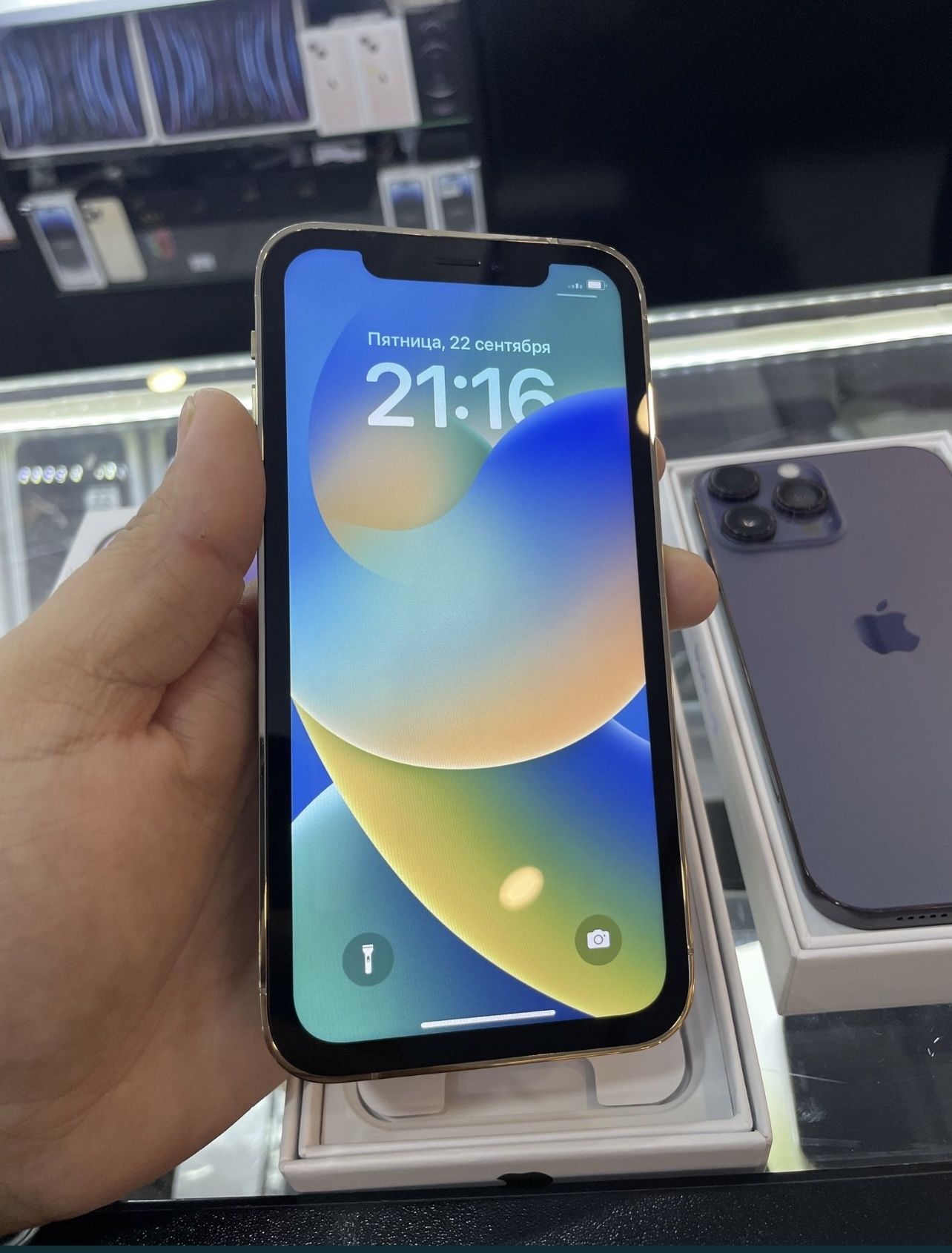 IPhone 15 Pro,IPhone 16 Про (XR) 256 Gb