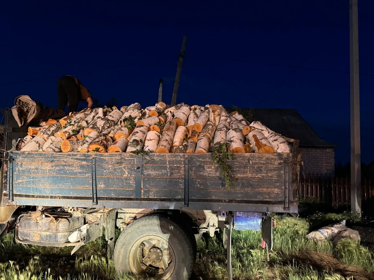 Продам дрова береза