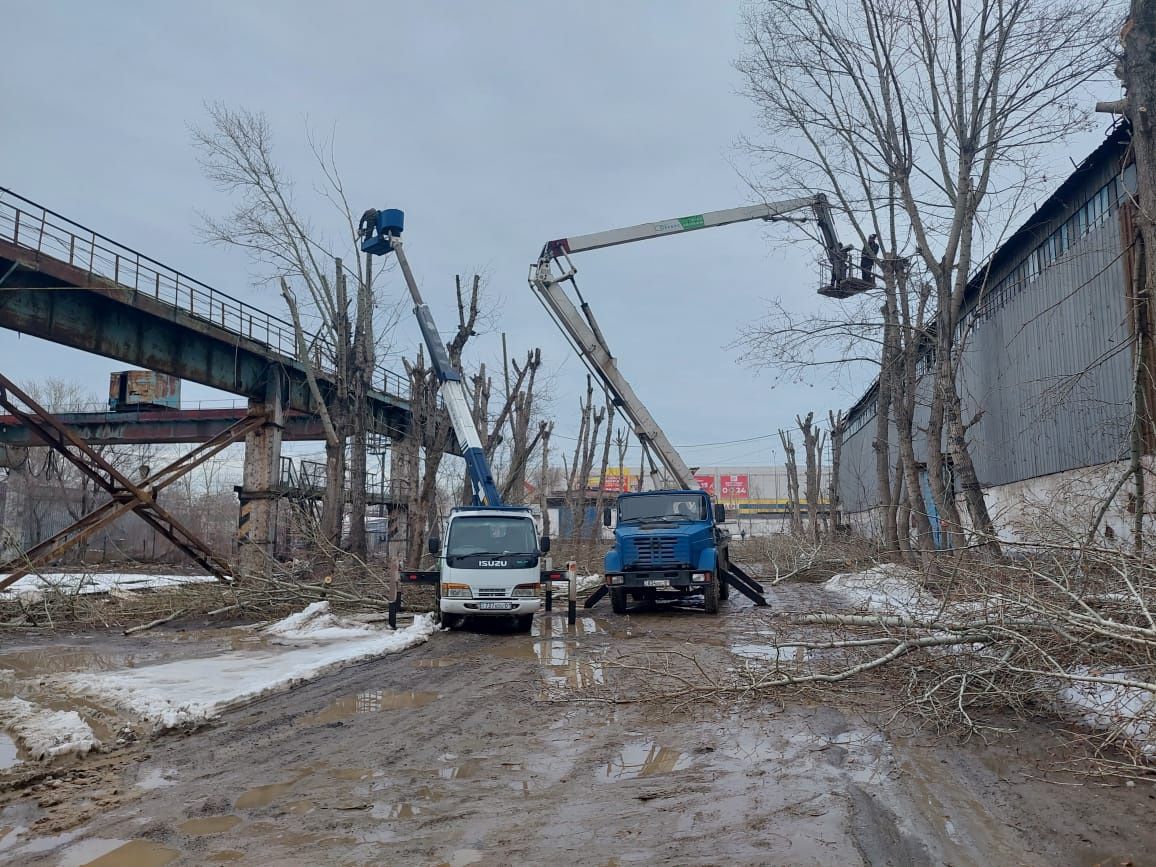 Спил дерево срочно
