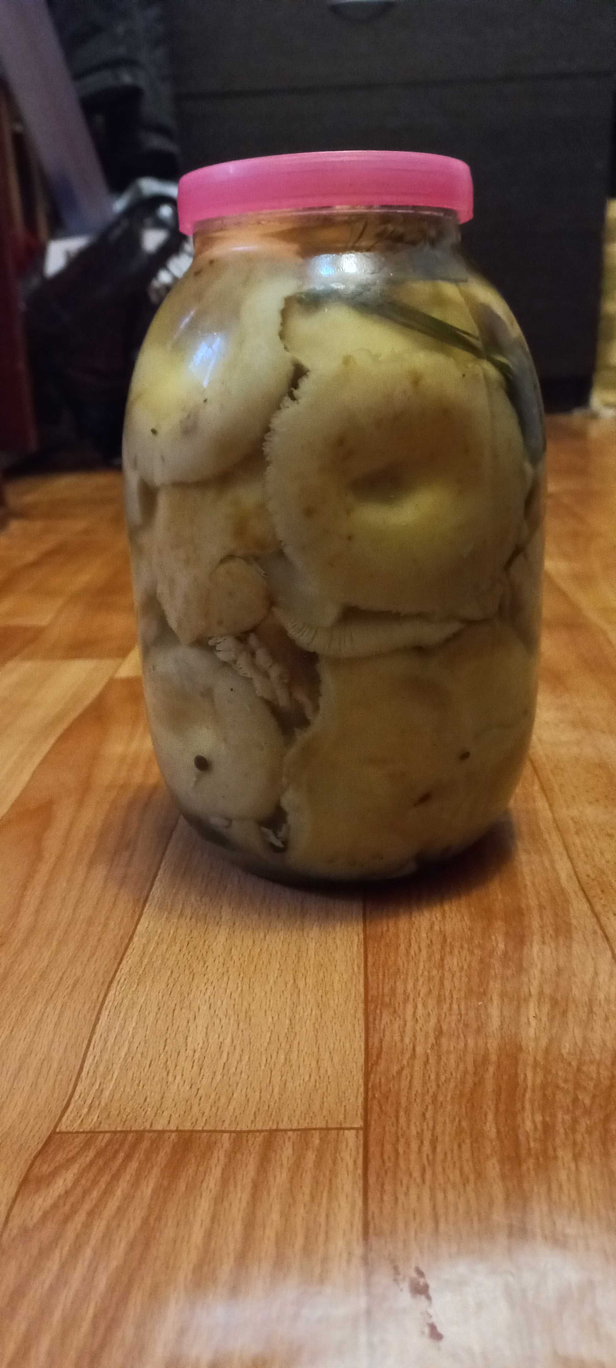 Солёные грузди. Готовые.