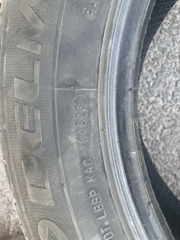 Продам два болона