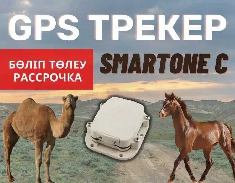 GPS Трекер Ошейник для Лошадей ЖПС жылкыга Доставка
