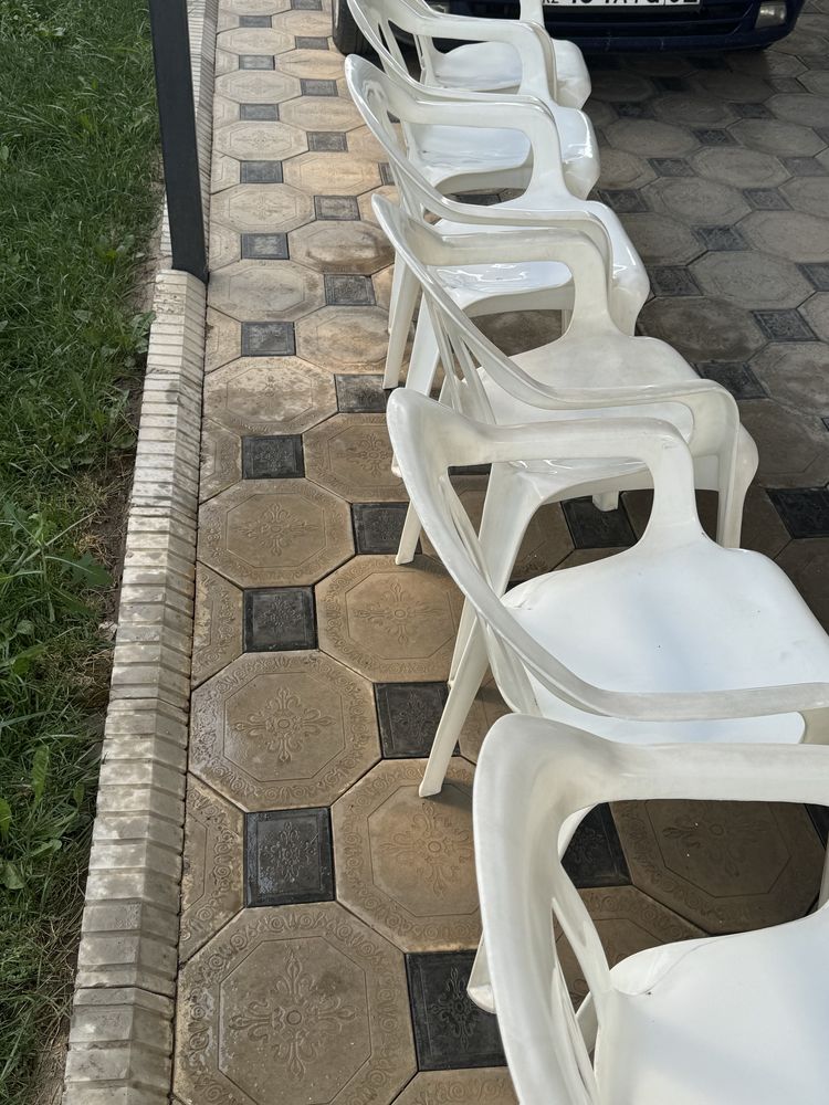 Белые стулья.