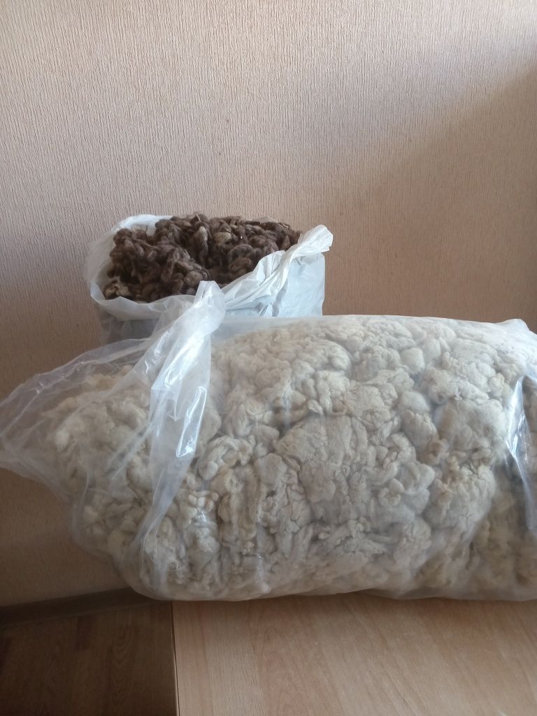 Продам шерсть верблюда