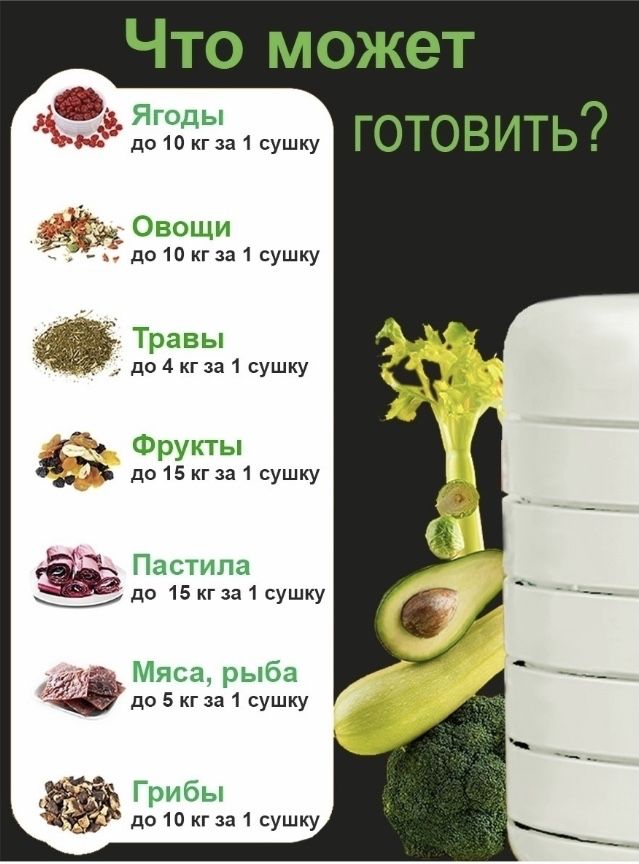 Сушилка для овощей, фруктов и мяса EZIDRI ULTRA FD1000 Digital