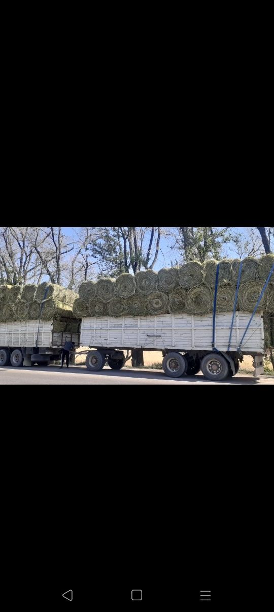 Сено люцерна жоношка урлон сатамын свежый укос жоношка сатамын жоношка