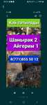 Баран баран Бараны баран Бараны баран  бараны