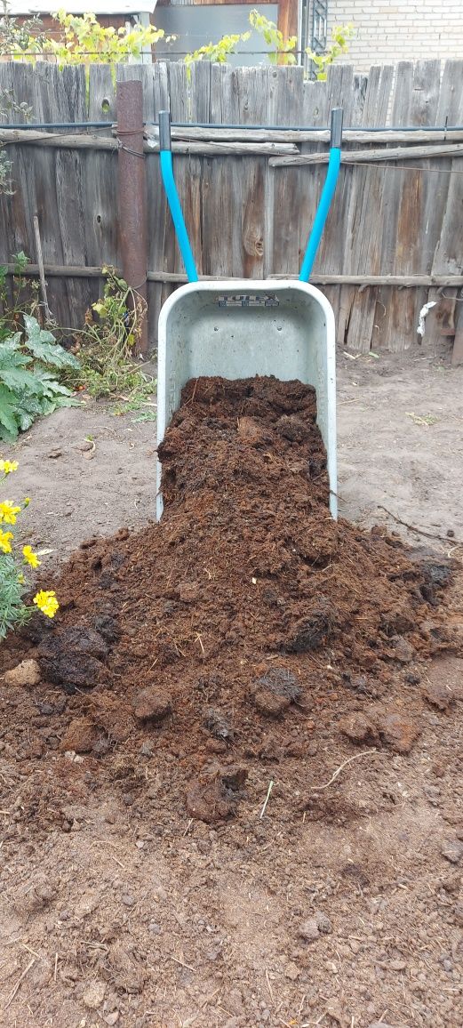 Продам перегной .