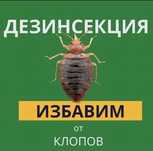 Профессиональные услуги по борьбе с вредителями | Доступные цены
