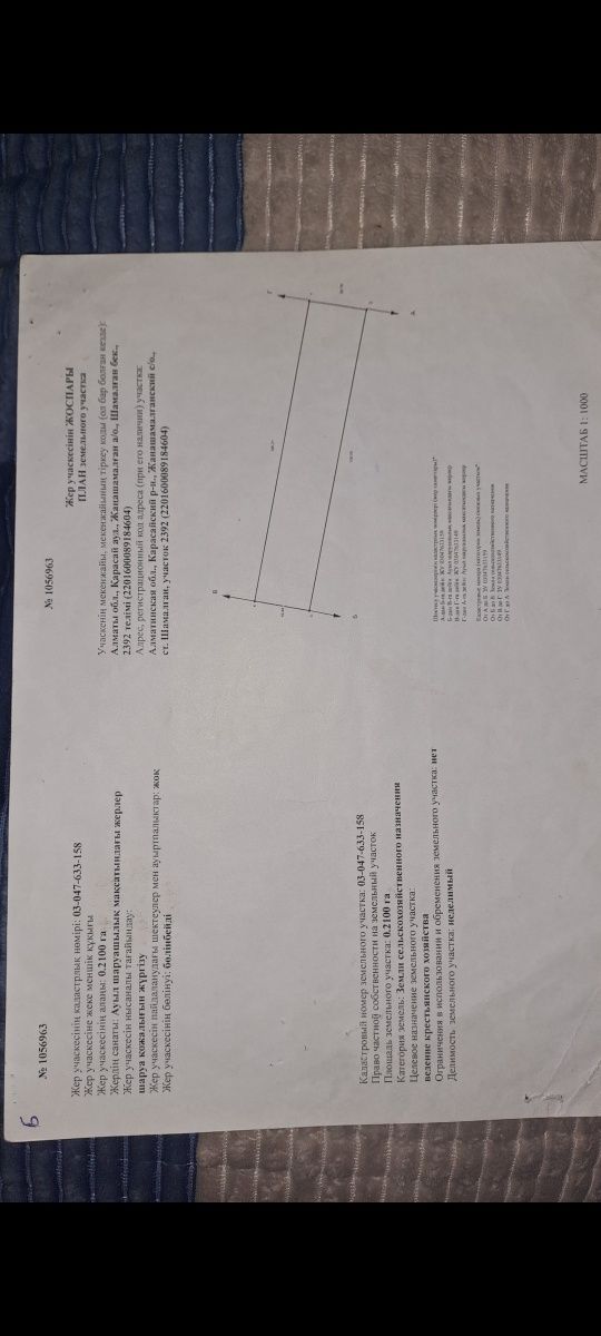 60   сот.   Жер    тегіс    трассадан    жүз   метр