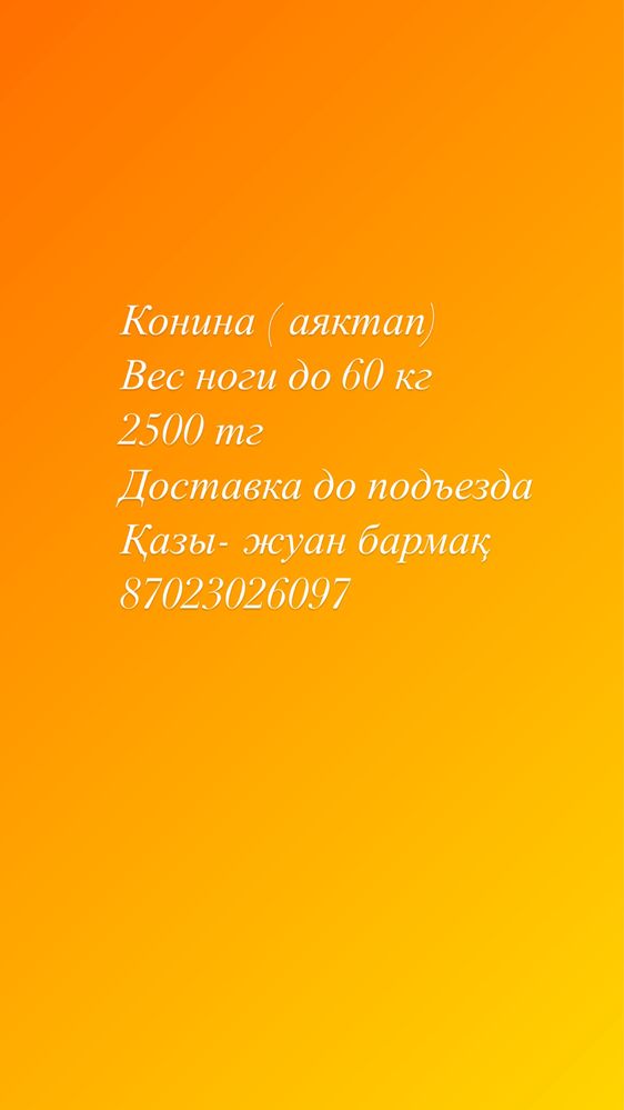 Продам конину ( аяктап)
