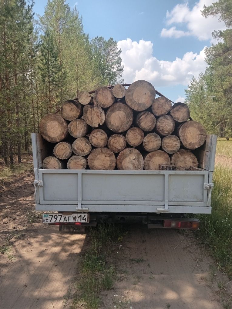 Продам дрова чурки сосна