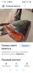 Голова семги  по 1000 тг за кг