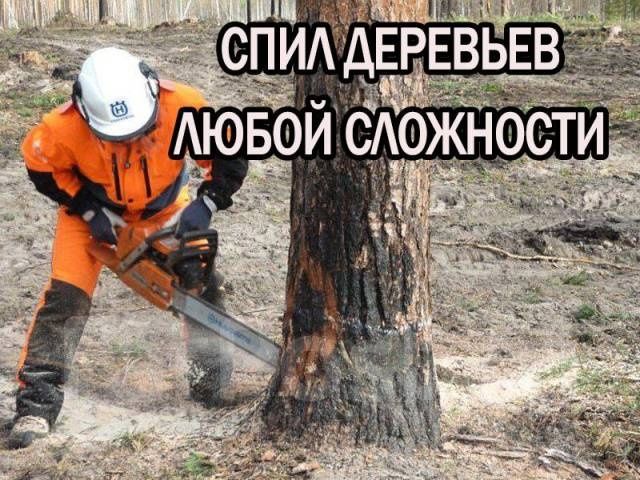 Спил деревьев и распил дров!