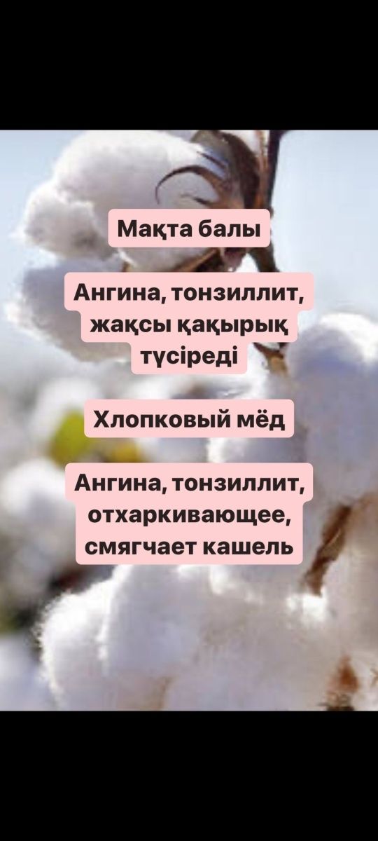 100% Табиғи бал Таза, Мёд Исмаилдан, Қоспасыз Иммунитетке пайдалы!