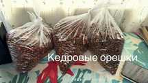 Кадровые орешки с этого года отличные