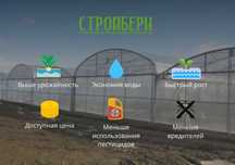 Создайте идеальные условия для сада с теплицами из поликарбоната!