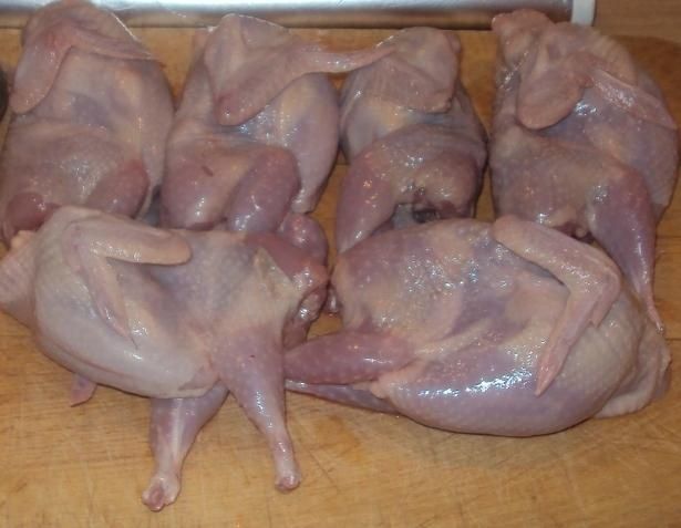Реализуем мясо перепелов и перепелиные яица