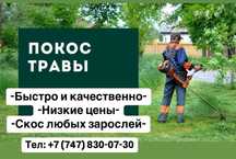 Покос травы шоп шабу