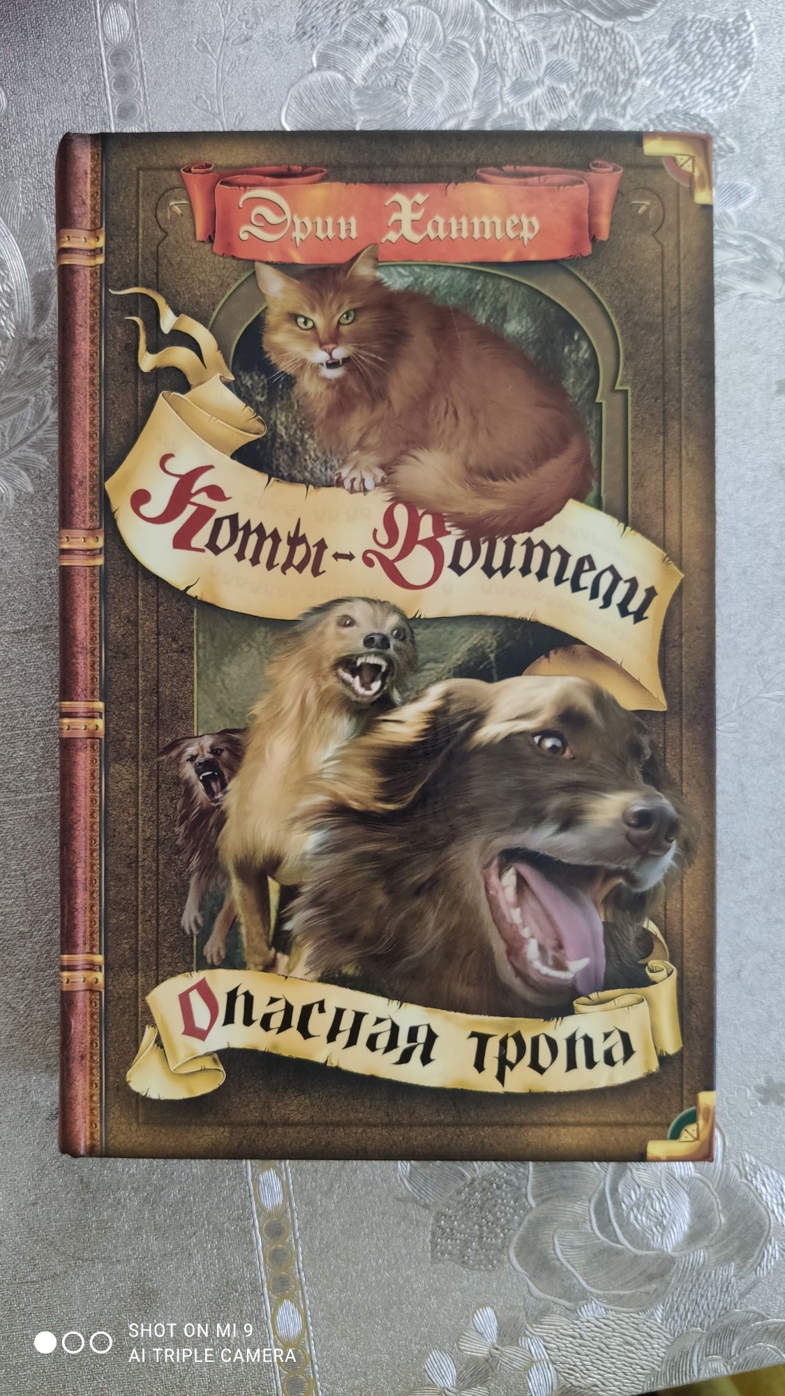 Коты Воители. Книги.