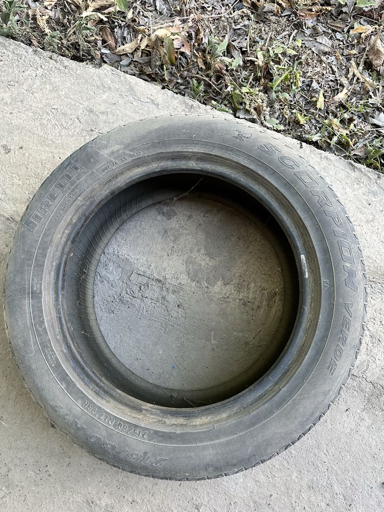 Покрышки зимние