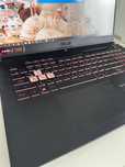 ASUS TUF Gaming F17 FX707ZM-HX004