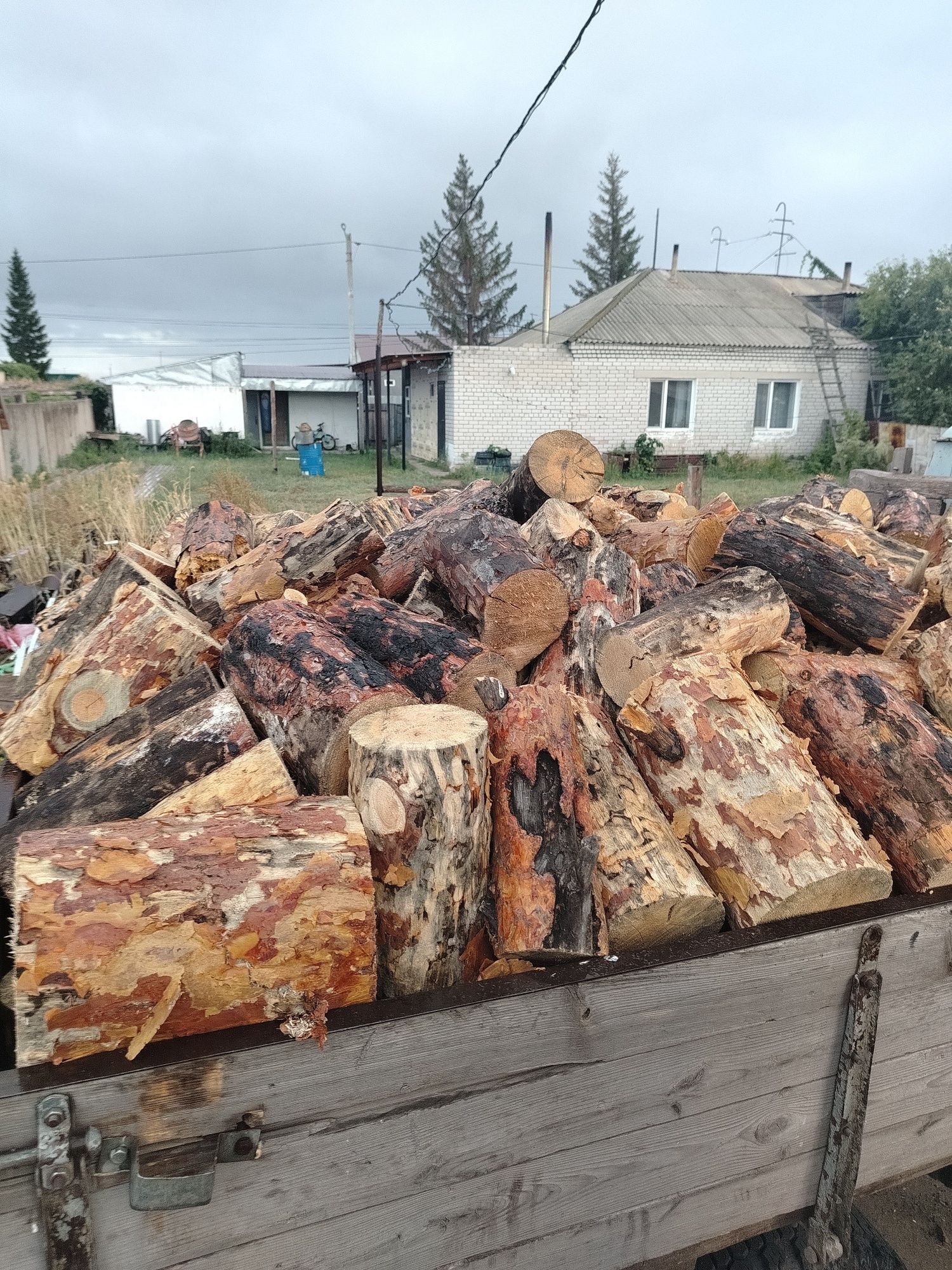 Дрова  дрова дрова, сосна чурки чурки..сухие 100%.