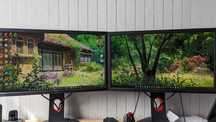 ДВА игровых монитора BenQ Zowie XL2411K (24", 144 Гц)