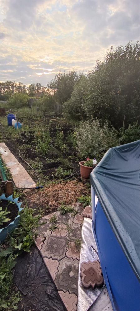 Продам дачу «дружба»