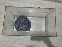 Аквариум 30 ЛИТРОВ 45x24,5x27 КОМПЛЕКТ