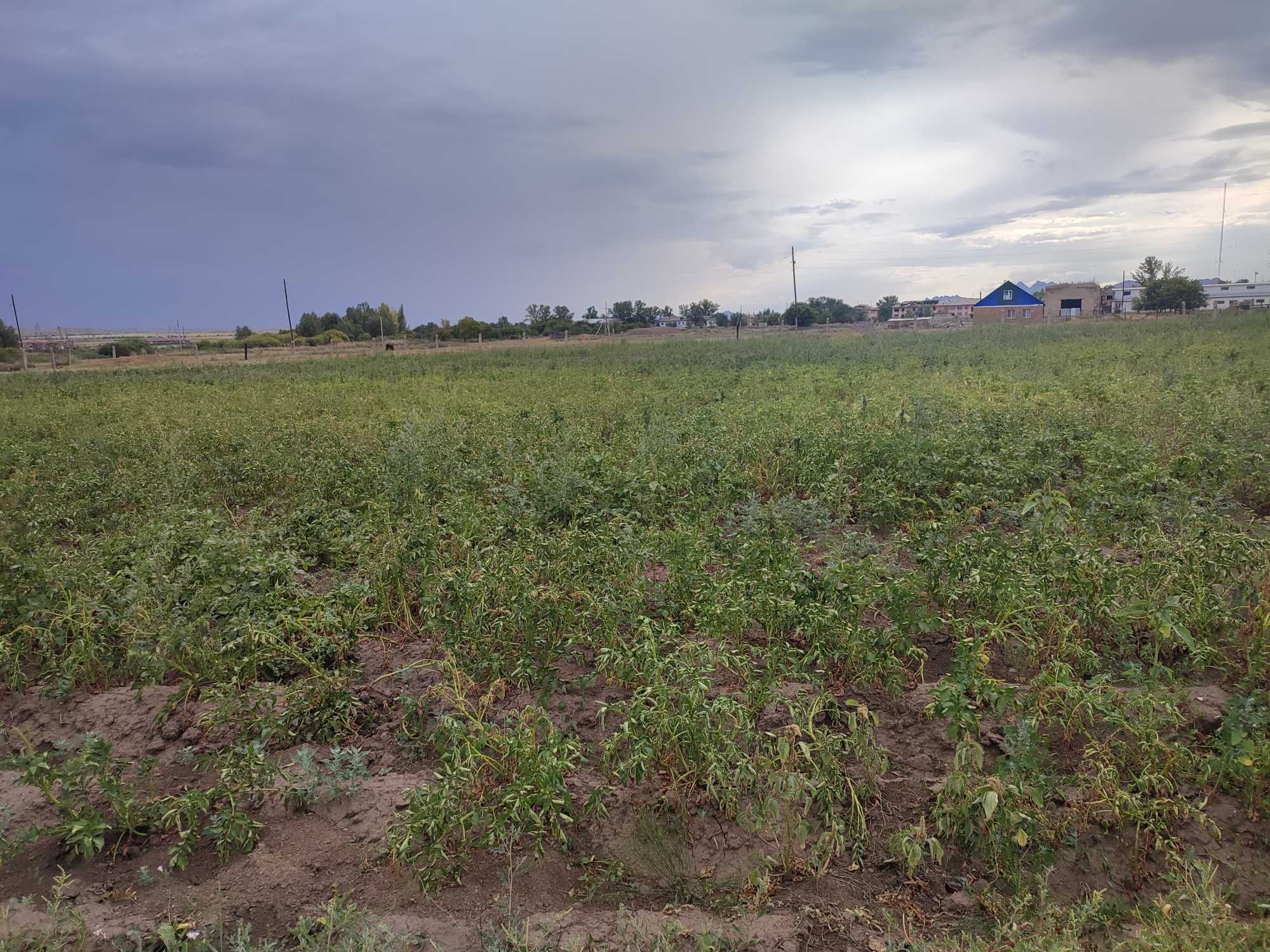 Продам  базу  и 3 га территория