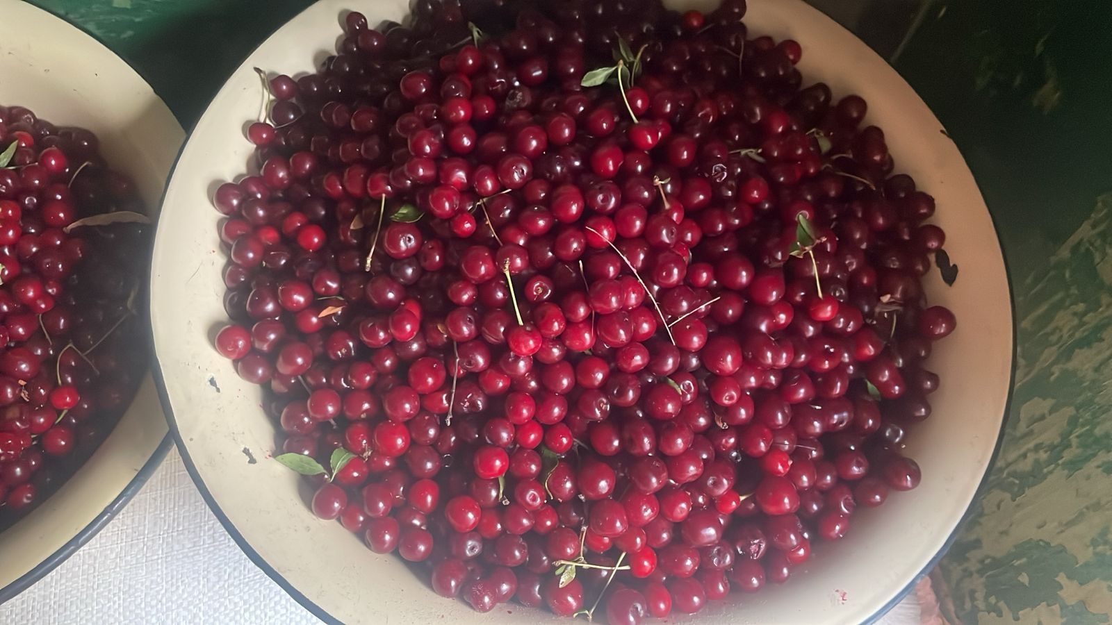 Продам вишня дачный