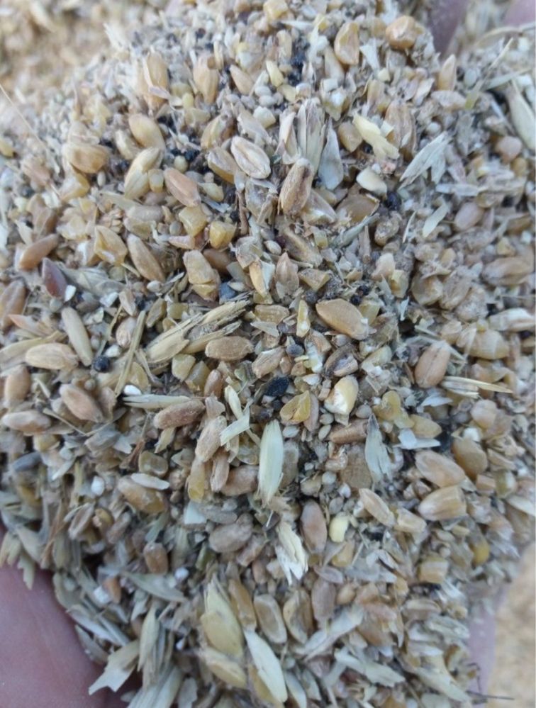 Продам зерносмесь свежий урожай