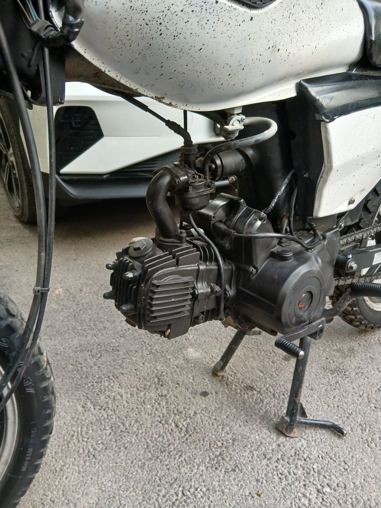 Альфа рэйсер 125