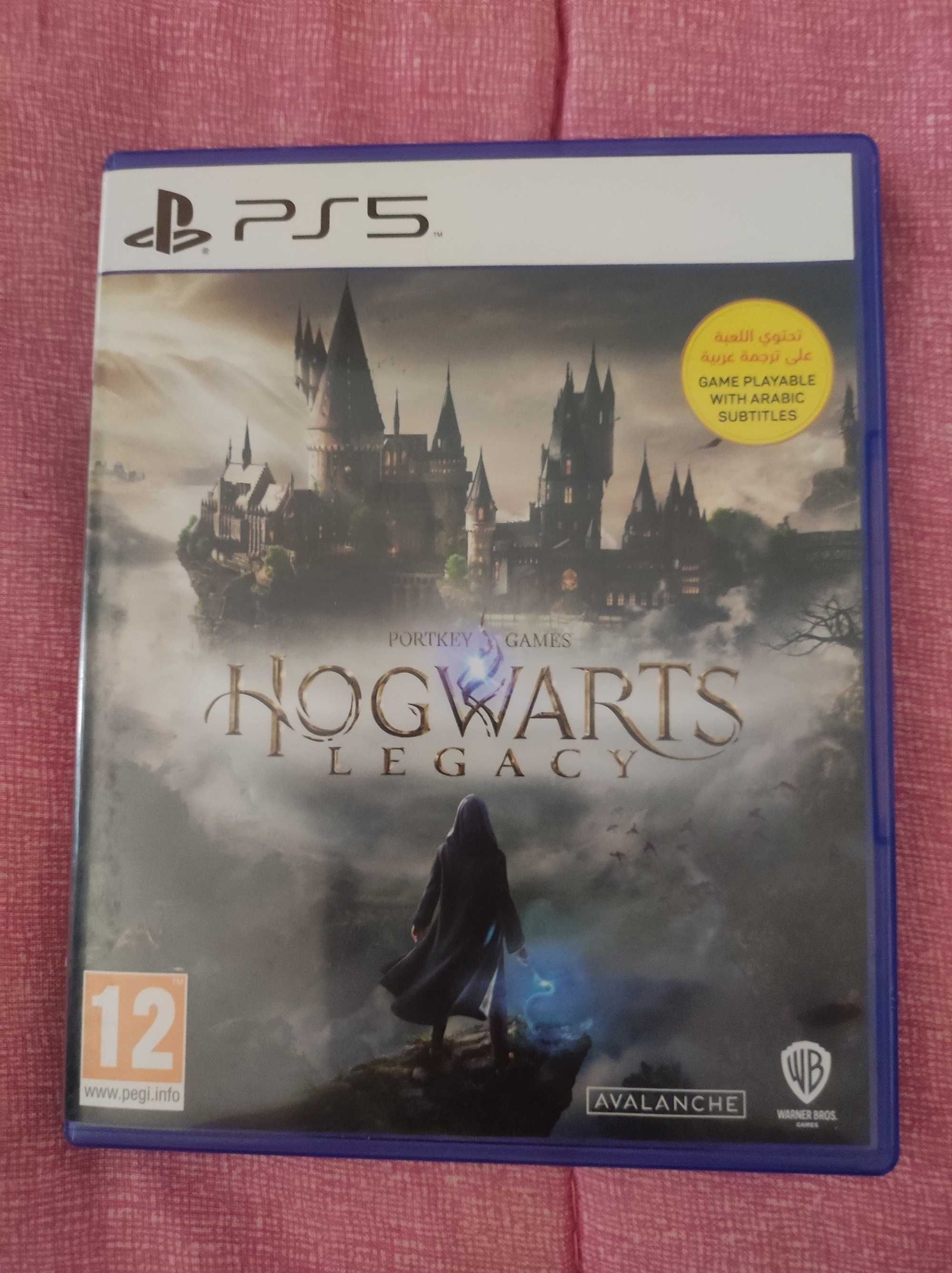 Игра на ps5 Hogwarts