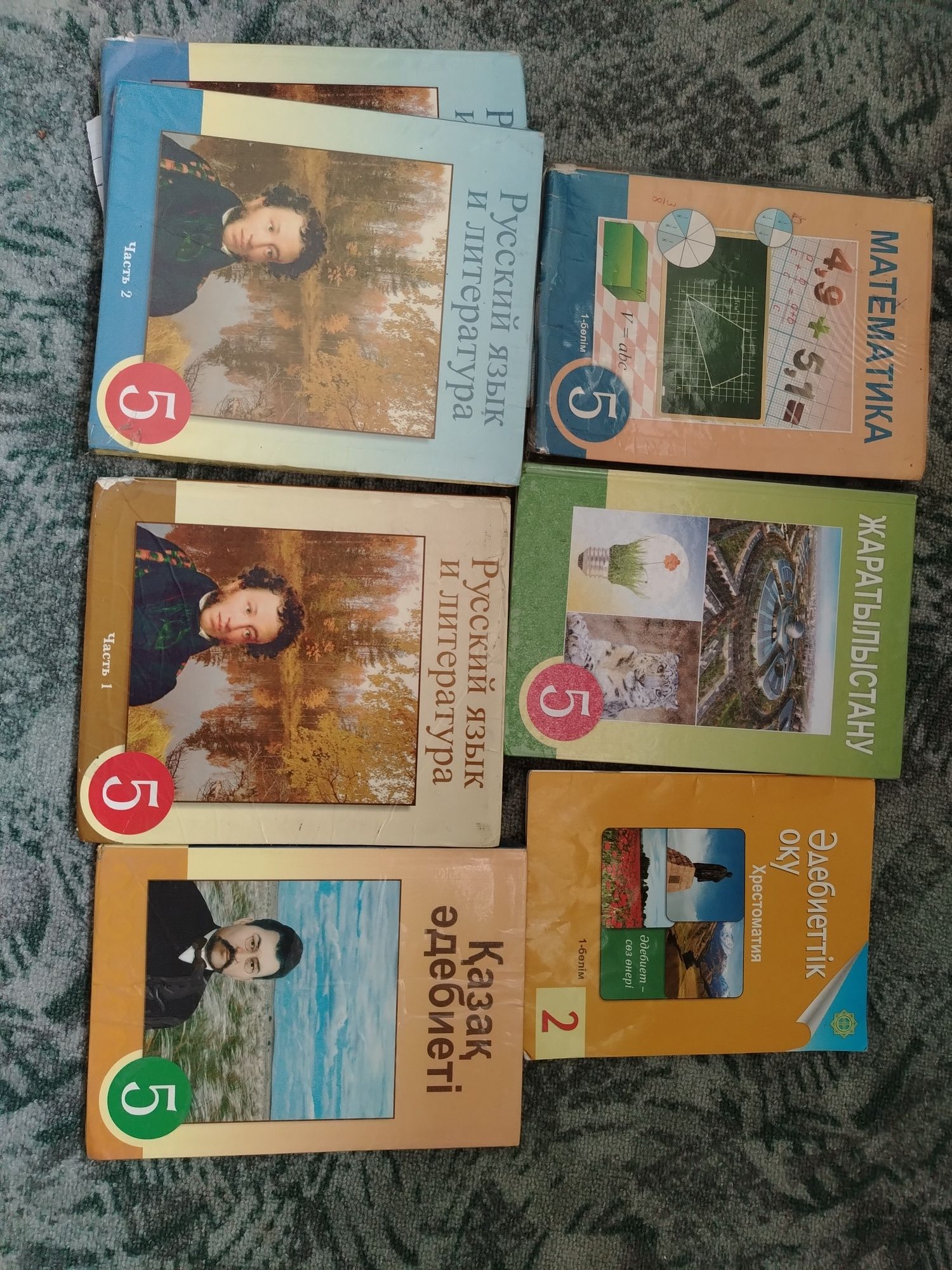 Кітап 5 сынып книги