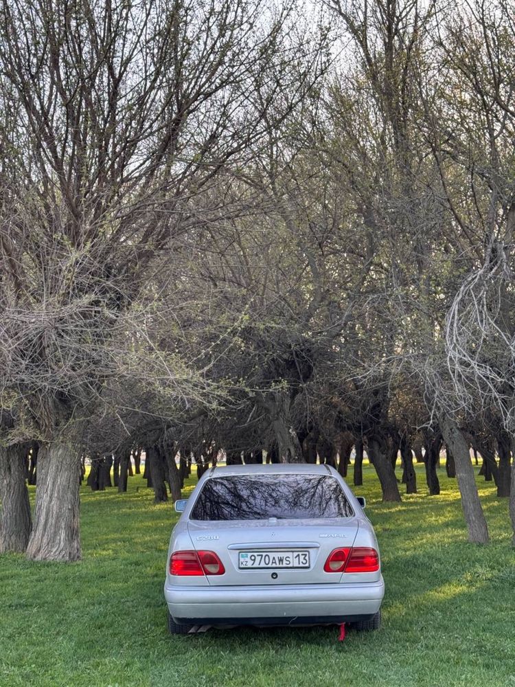 Задний плафон w210 до рест