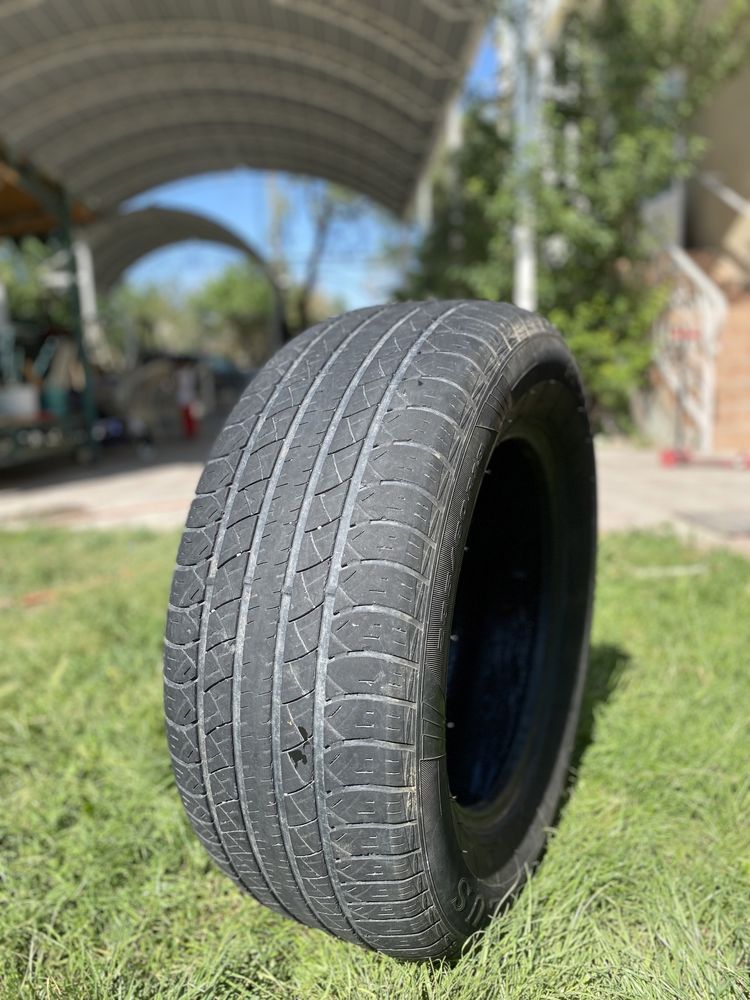 Автошины