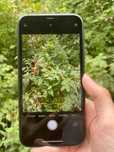 Iphone 11 64 гб / айфон 11 / айфон / iphone