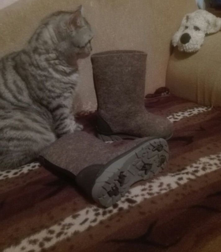 Сапоги войлочные