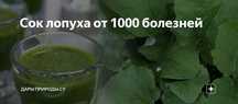 Продам сок лопуха