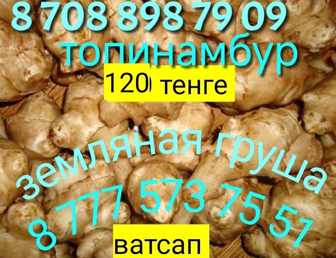 Электромантажные работы  Топинамбур ,