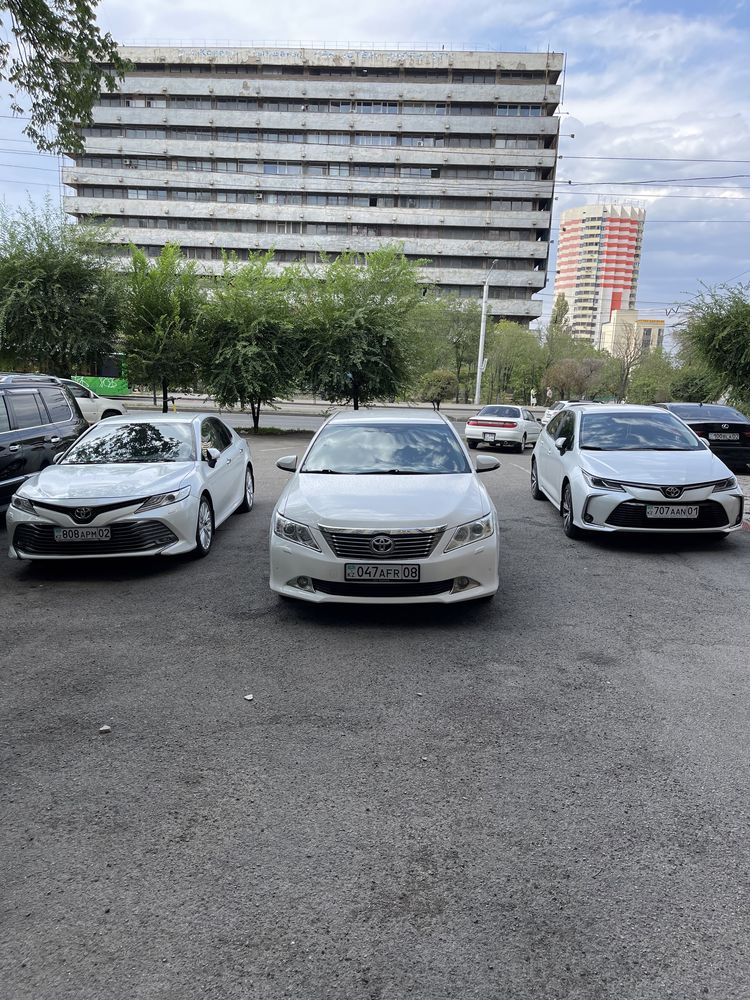 Автопрокат аренда авто прокат авто аренда машин без водителя