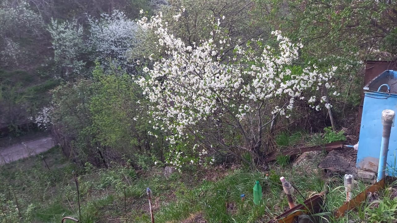 Продам дачу кенсай