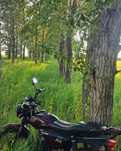Продам Vento 110cc